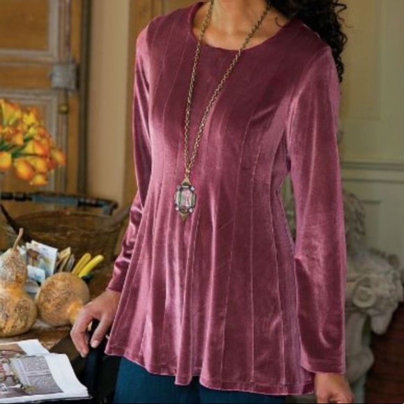 Soft Surroundings Tops - Soft Surroundings paneled velvet tunic blouse